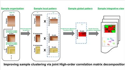 High-Order Correlation Integration for Single-Cell or Bulk RNA-seq Data Analysis